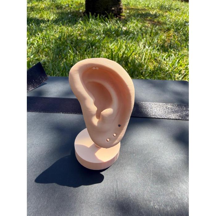 Kuzu Kulağı TikTok Seti – Kuzu Figürlü Dekoratif Masa Aksesuarı Seti